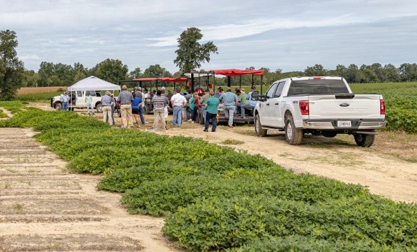 Field day participants standing in field for demonstrations